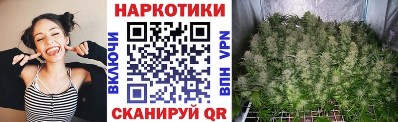 Хочу наркоту Киржач Гашиш Марихуана АМФ Мефедрон