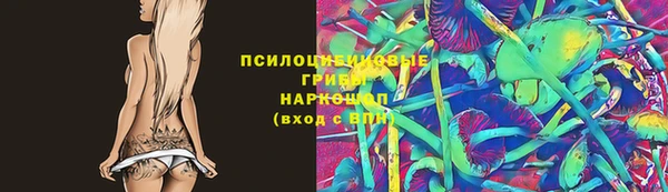 индика Осинники