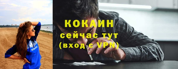 индика Осинники