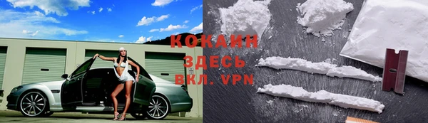 индика Осинники