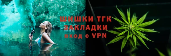 шишки Ветлуга