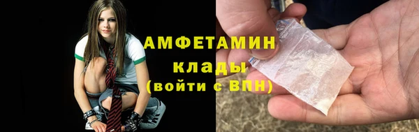 индика Осинники