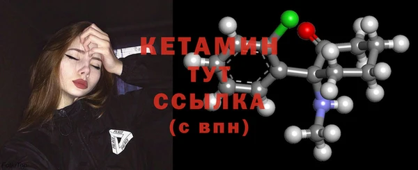 индика Осинники