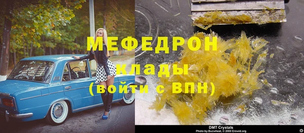 индика Осинники