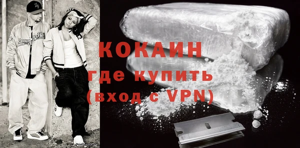 индика Осинники