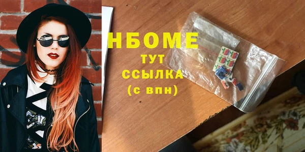индика Осинники