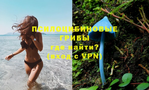 таблы Пестово