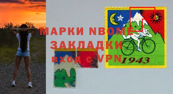 индика Осинники