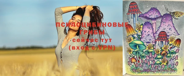 марки nbome Пересвет