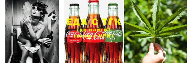 индика Осинники