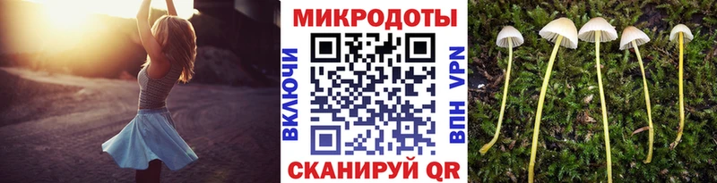 Галлюциногенные грибы Cubensis купить Киржач