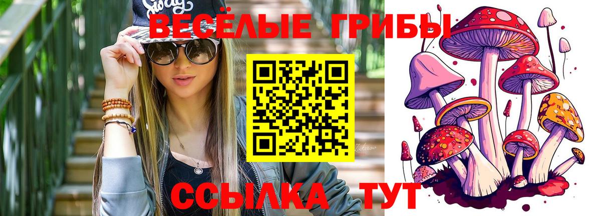 Псилоцибиновые грибы ЛСД Киржач